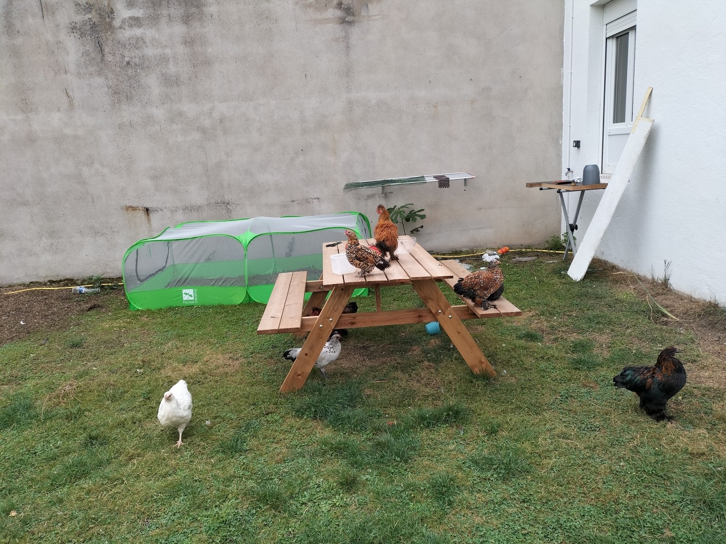ah bon, une table c'est pas fait pour ça ?!?