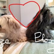 Liza et Phoxi