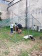 installation dans le poulailler
