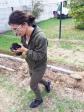 installation dans le poulailler