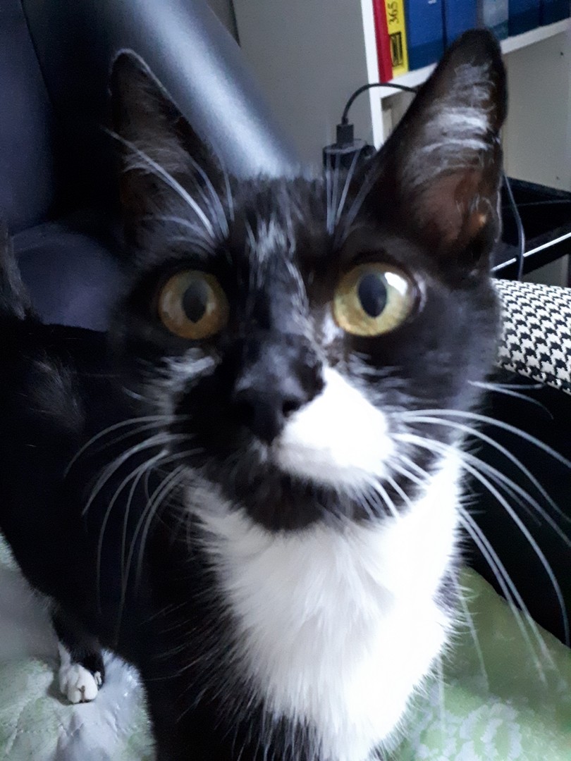 Kinette, beaux yeux