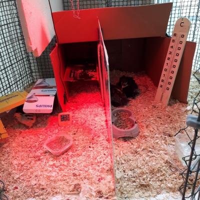 appartement séparé!!