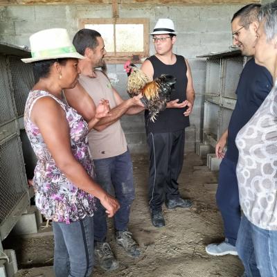Au jardin fermier des mille idees 11 