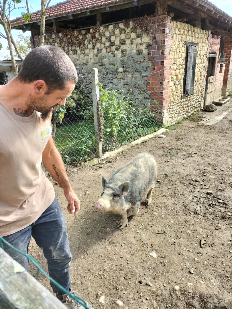 Au jardin fermier des mille idees 17 