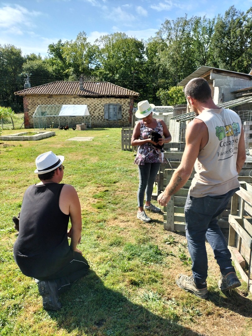 Au jardin fermier des mille idees 2 