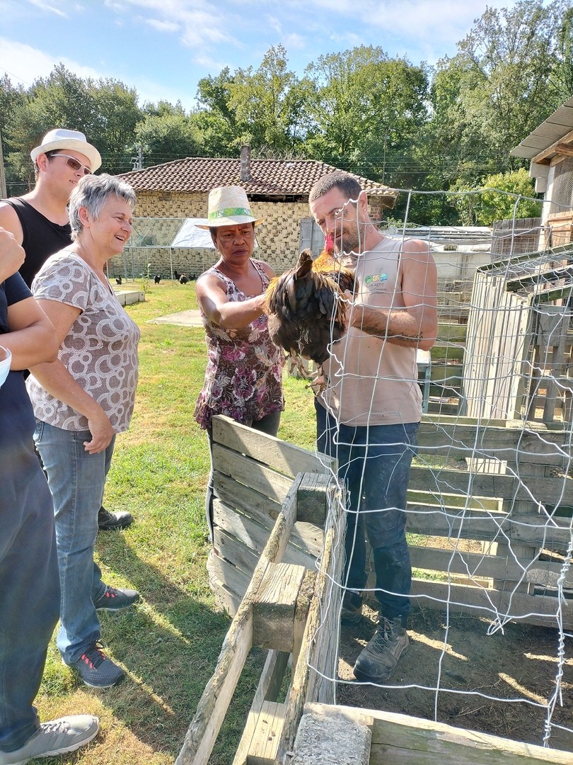 Au jardin fermier des mille idees 20 