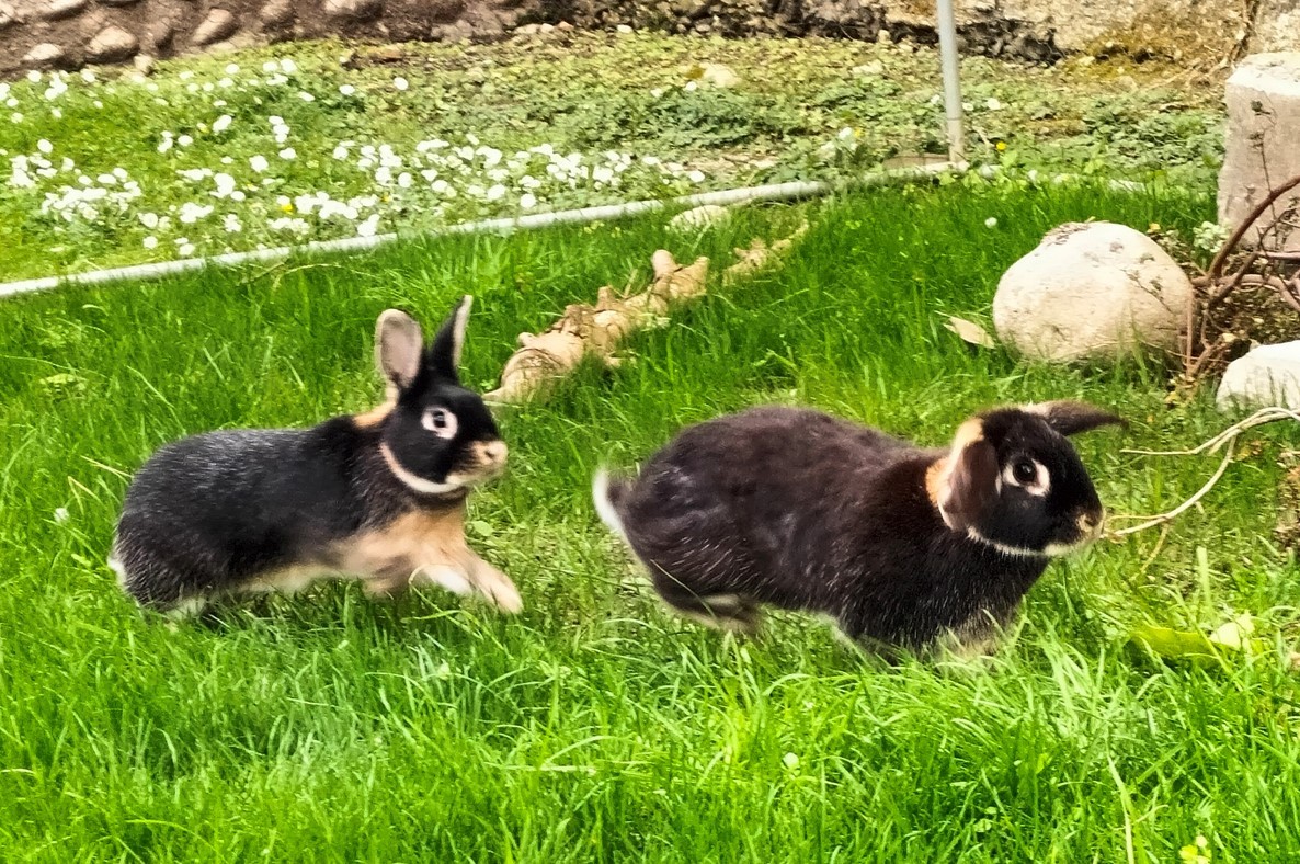 Isabelle et Choupy