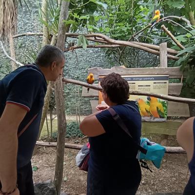 Journee au parc animalier des pyrenees 