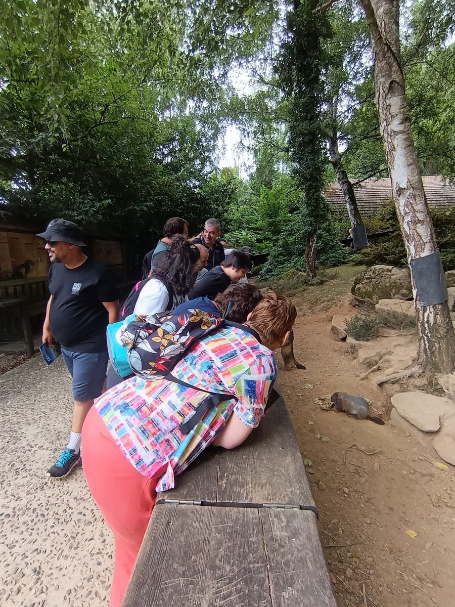 Journee au parc animalier des pyrenees