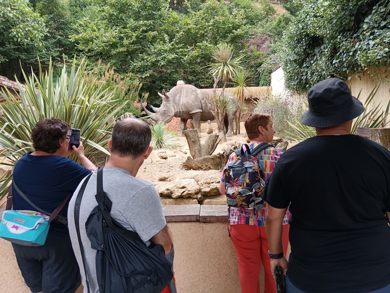 Journee au parc animalier des pyrenees 