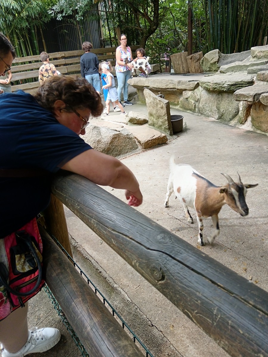 Journee au parc animalier des pyrenees