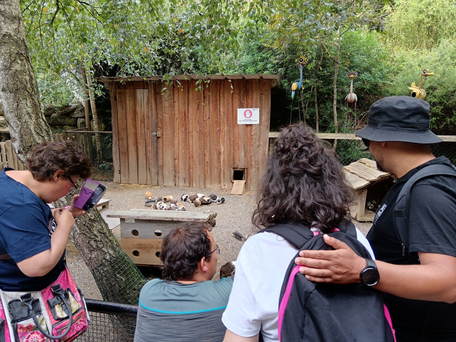 Journee au parc animalier des pyrenees 