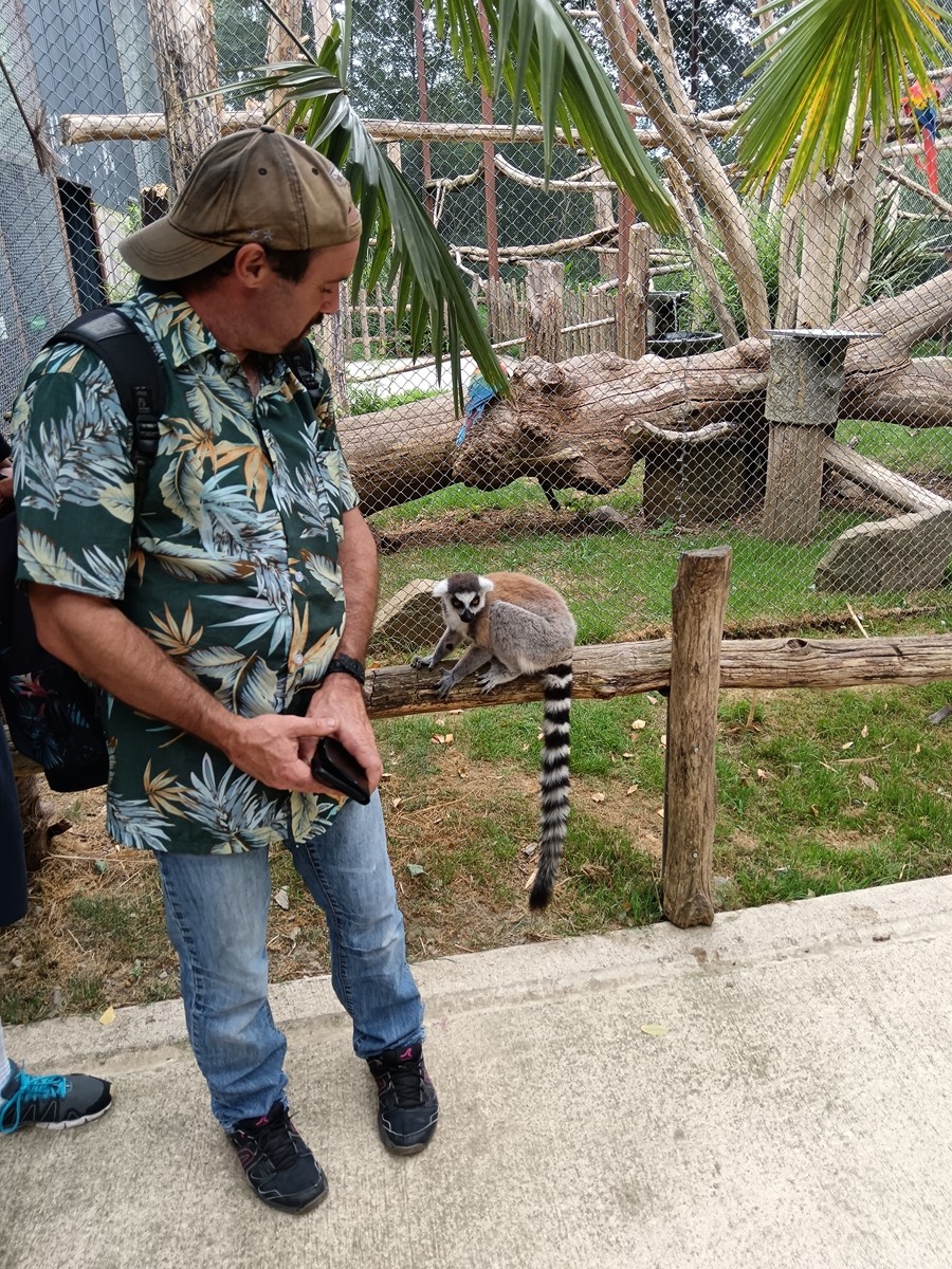 Journee au parc animalier des pyrenees 