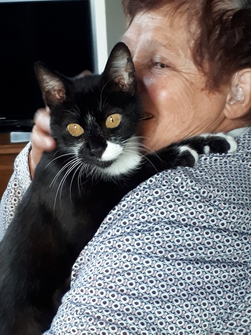 Kinette une nouvelle locataire adoptée par Andree 2020