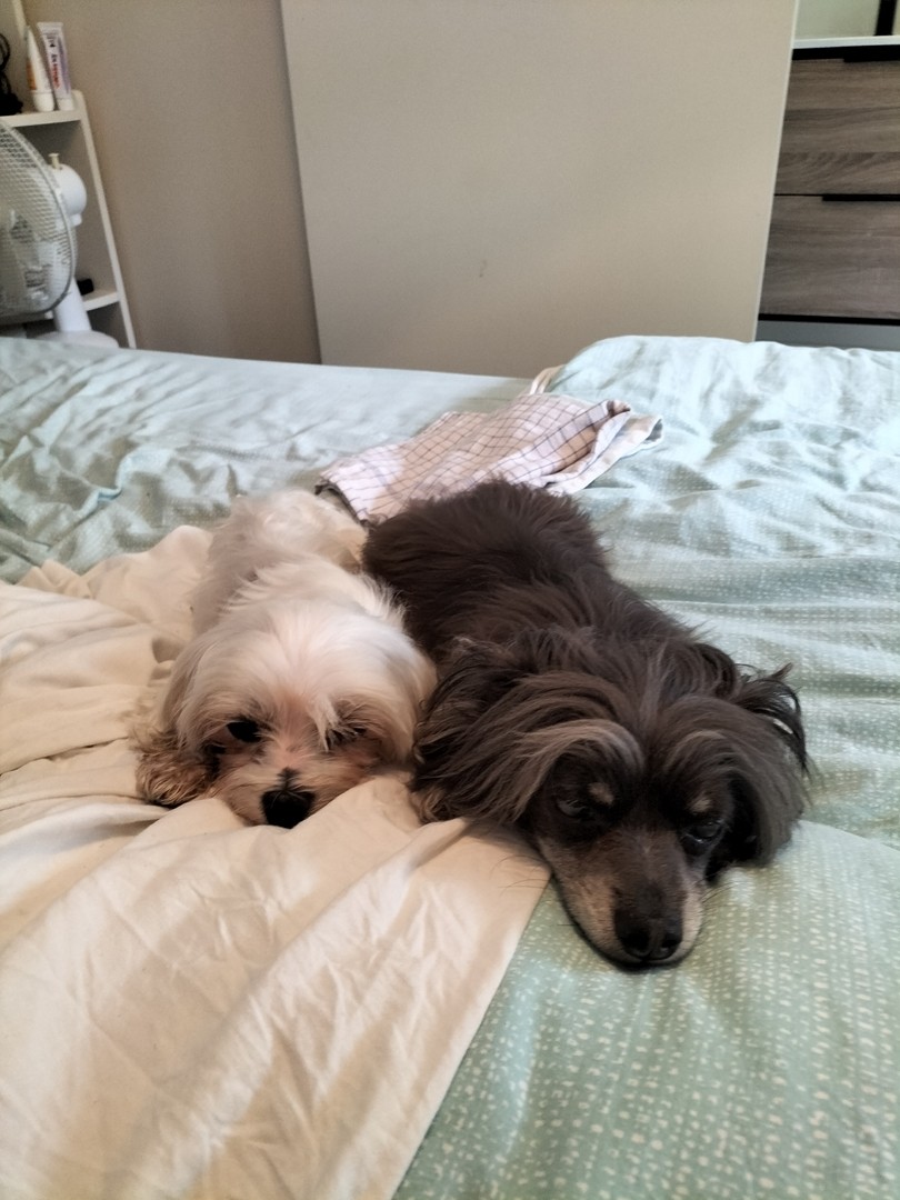 Liza et phoxi aout 2021