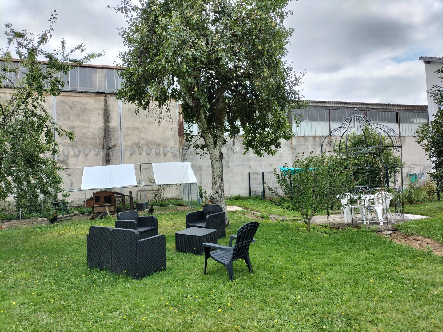 Le poulailler au fond du jardin