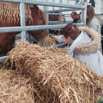 Salon de l agriculture 2024 18 