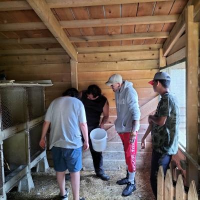 Visite et activites a la ferme de la montjoie 3 