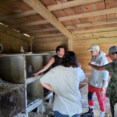 Visite et activites a la ferme de la montjoie 4 