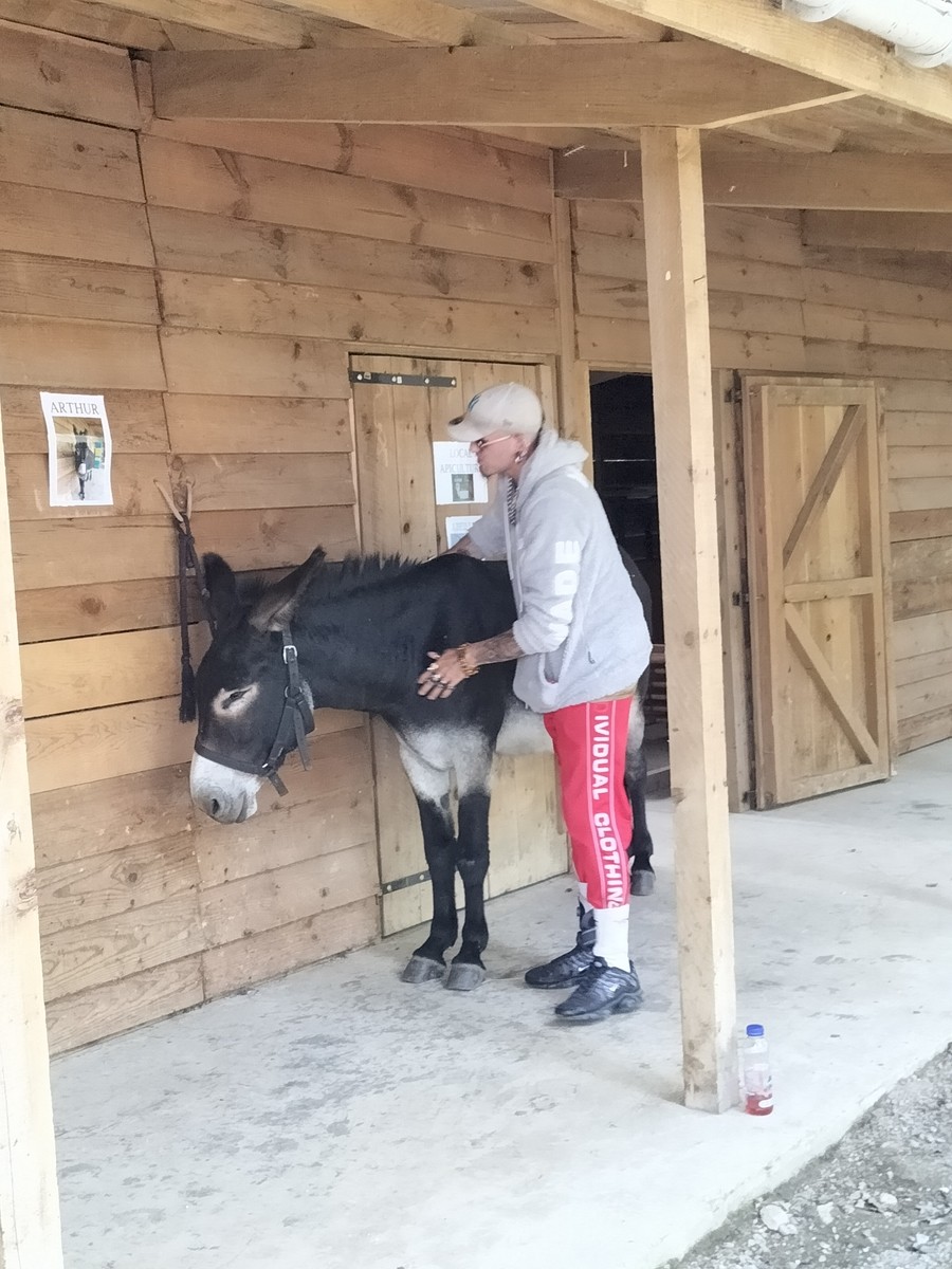 Visite et activites a la ferme de la montjoie 50 