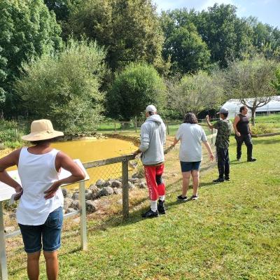 Visite et activites a la ferme de la montjoie 6 
